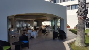 20180505_133116 (Medium)
